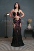 Professional bellydance costume (Classic 305 A_1)